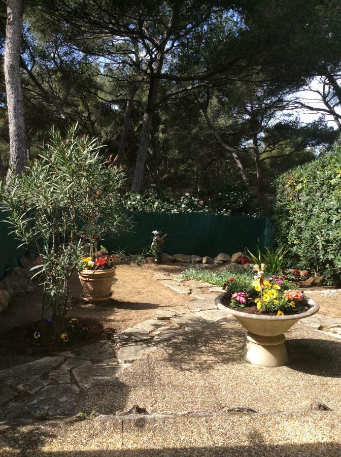 T2 Rez De Jardin 300M Plage De Beaucours Sanary Sur Mer Dış mekan fotoğraf