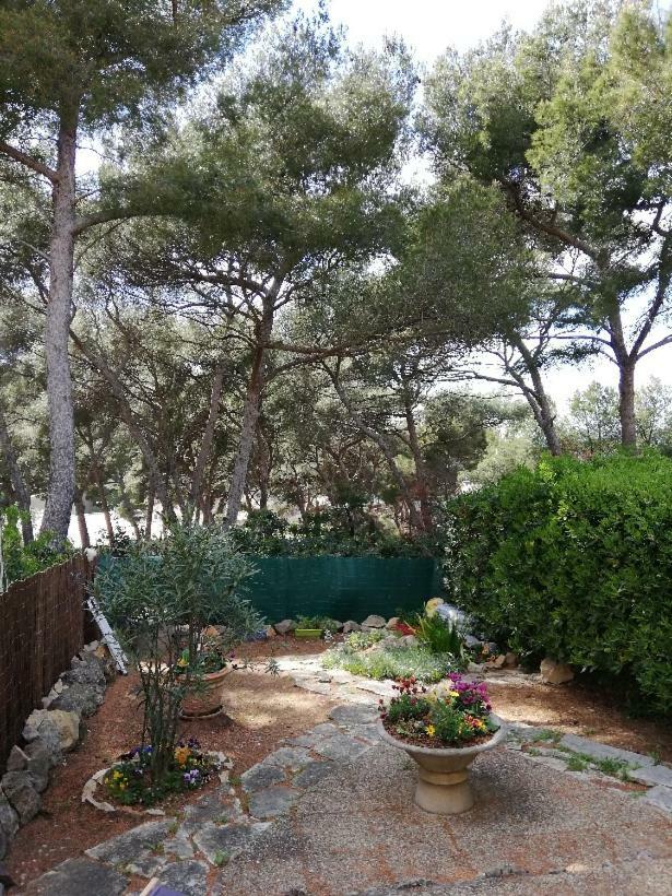 T2 Rez De Jardin 300M Plage De Beaucours Sanary Sur Mer Dış mekan fotoğraf